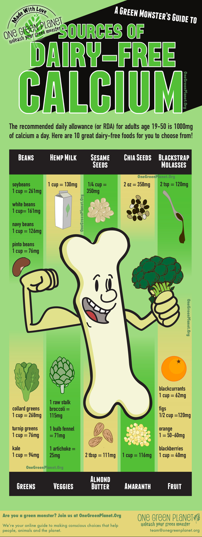 The Best Sources Of DairyFree Calcium (Infographic)