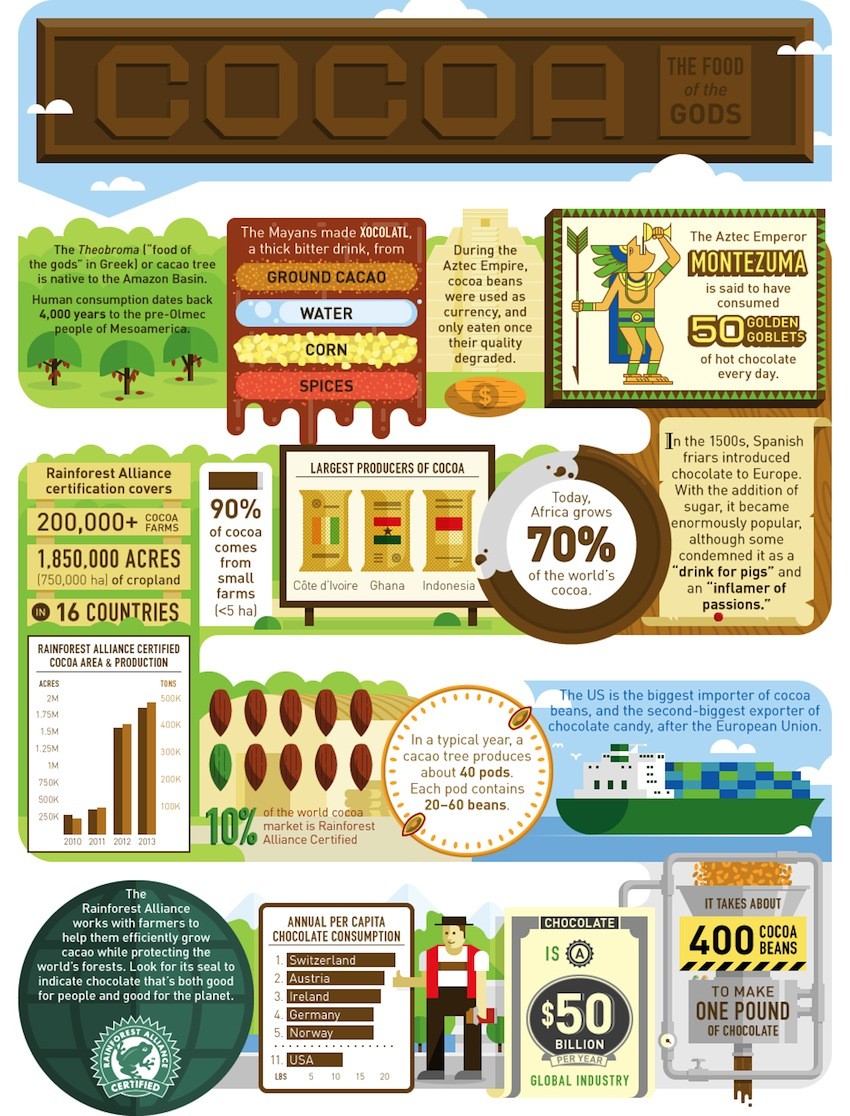 Fun Facts About Cocoa! (Infographic)