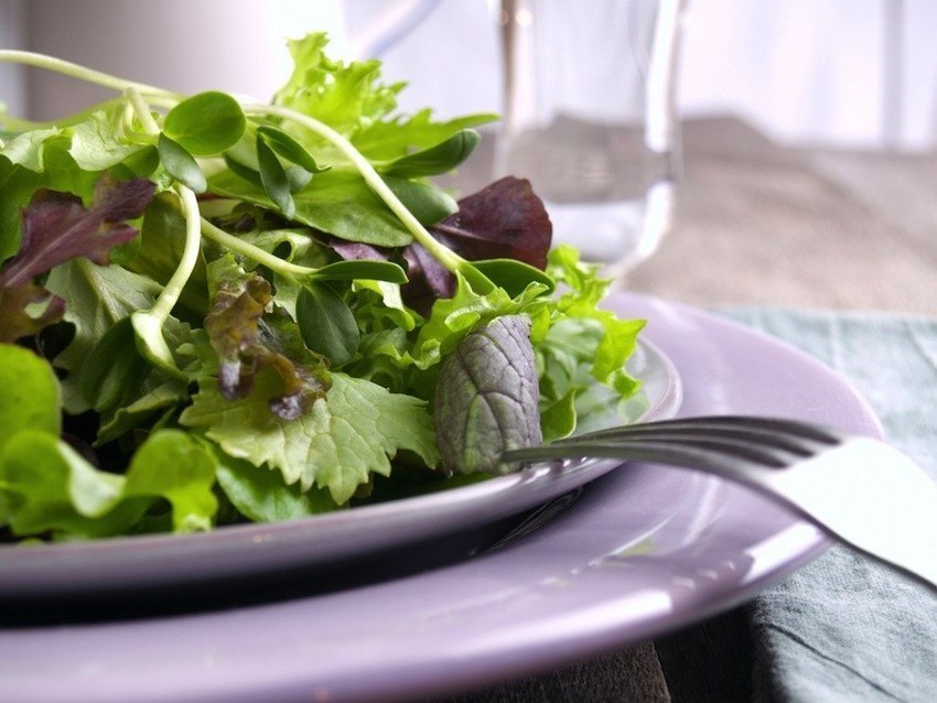 diy grow your own microgreens diy grow your own microgreens