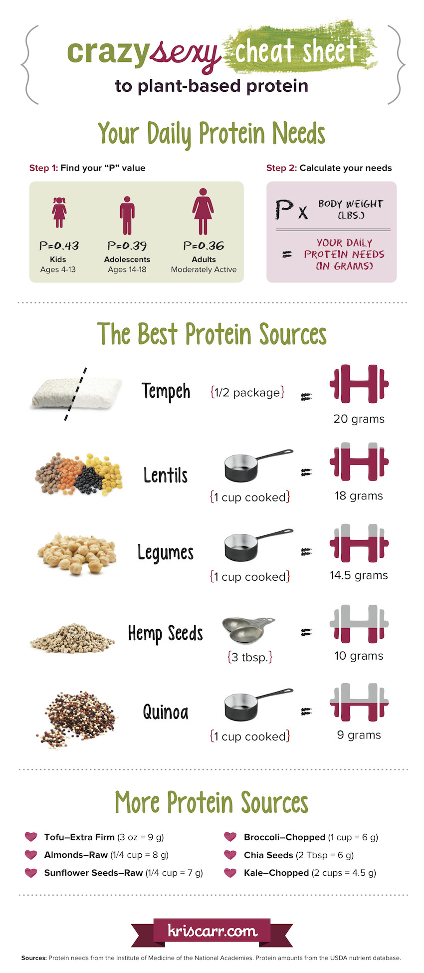The Best Sources Of Plant Based Protein Infographic 4358