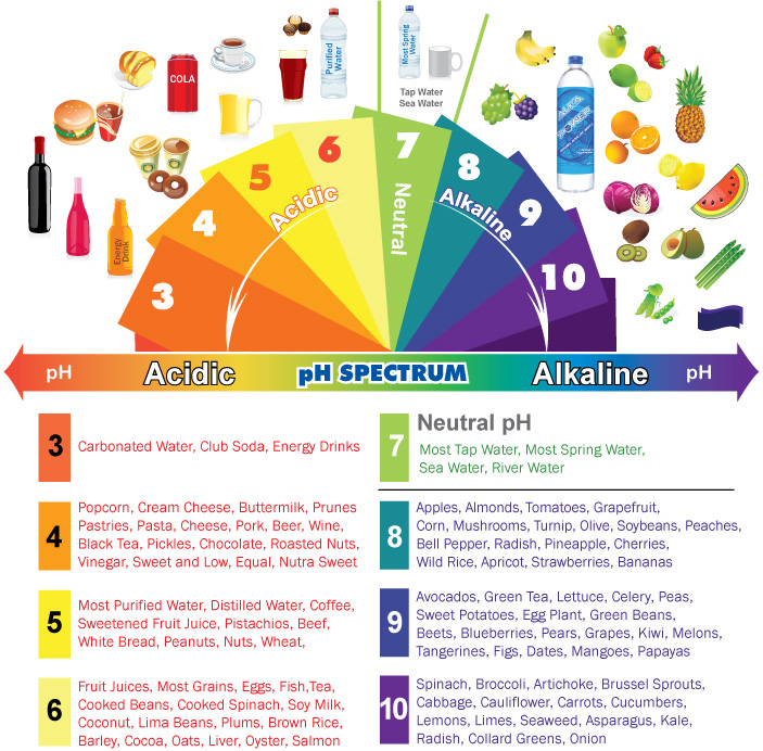 Alkaline & Acidic Foods Chart The pH Spectrum