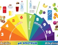 ph alkaline acidic body foods chart food balance heal spectrum scale mindbodygreen read diet levels acid many example water felicetti