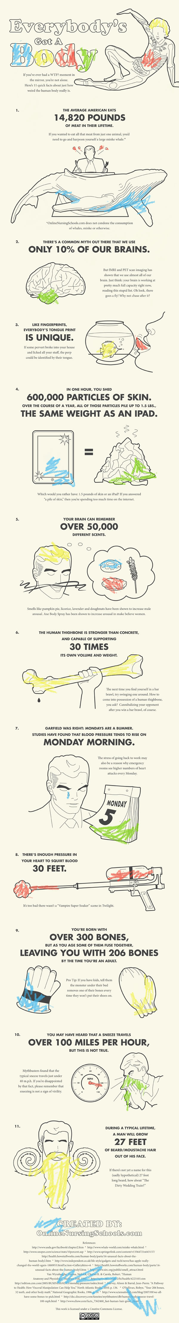 11 Weird Facts About The Human Body Infographic