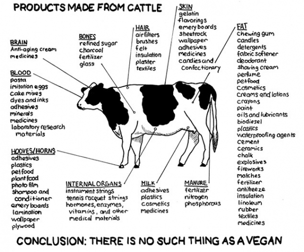 products-made-cattle.jpg