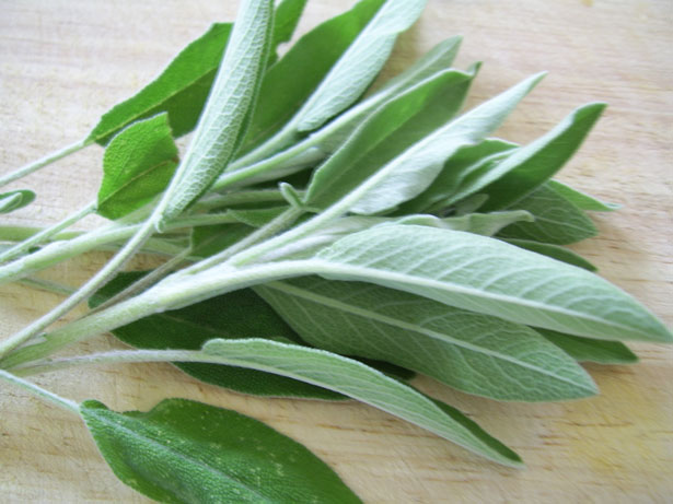 sage-leaves.jpg